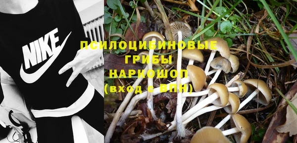 прущие крисы Абинск