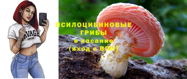 спайс Ельня